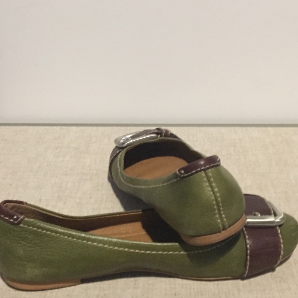 FOSSIL FLATS- Green - Picture 4 of 5